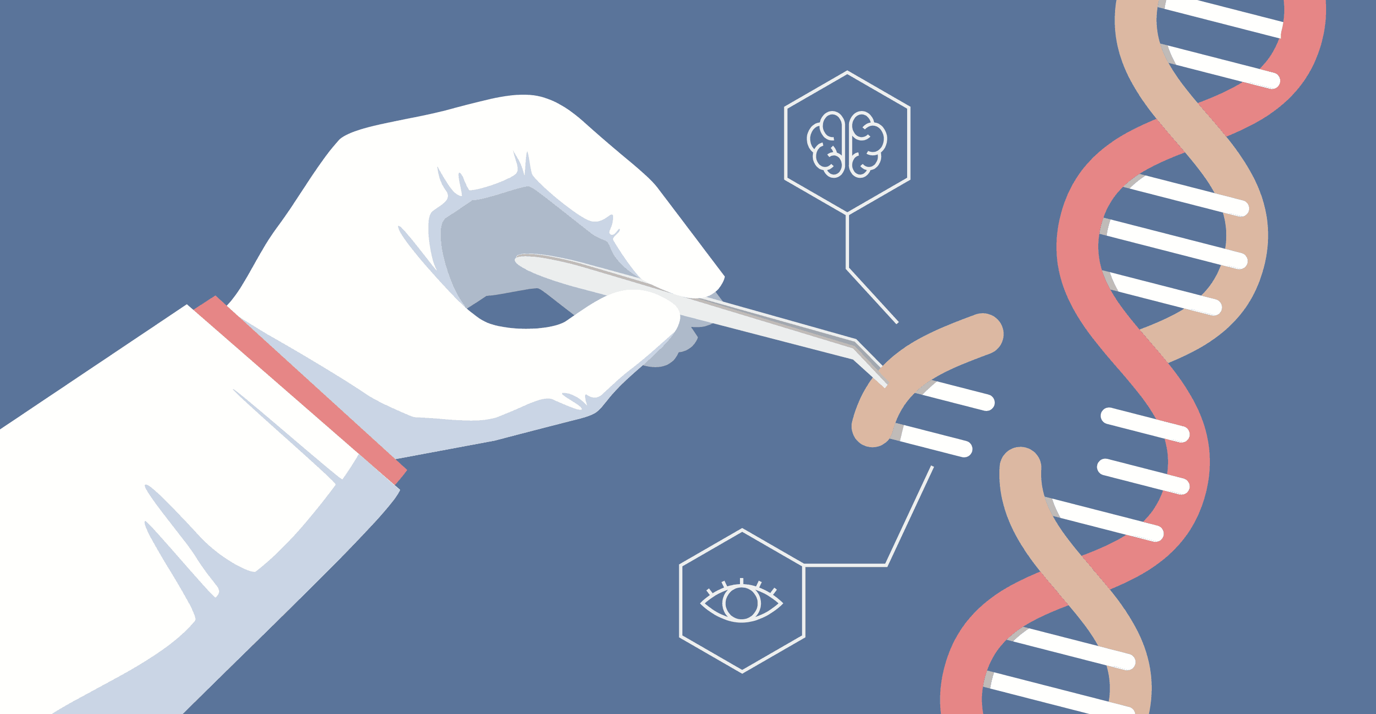 allelica startup genetica