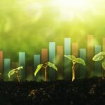 bioeconomia, sostenibilità