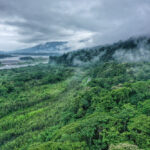 deforestazione Amazzonia