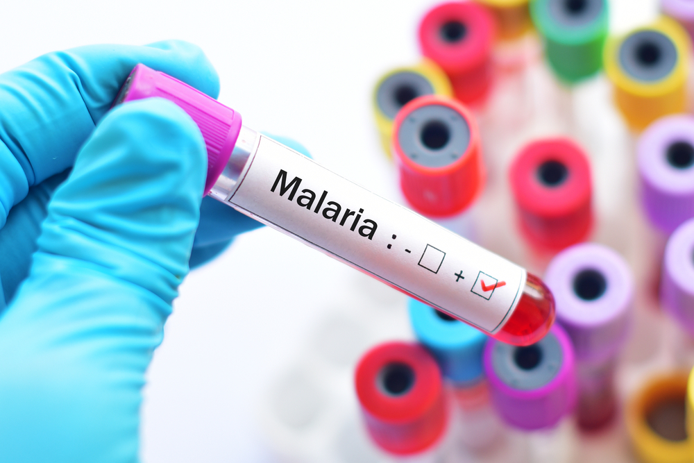 malaria