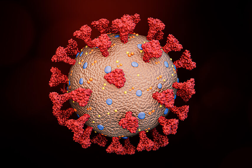 Coronavirus