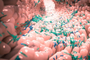 microbiota