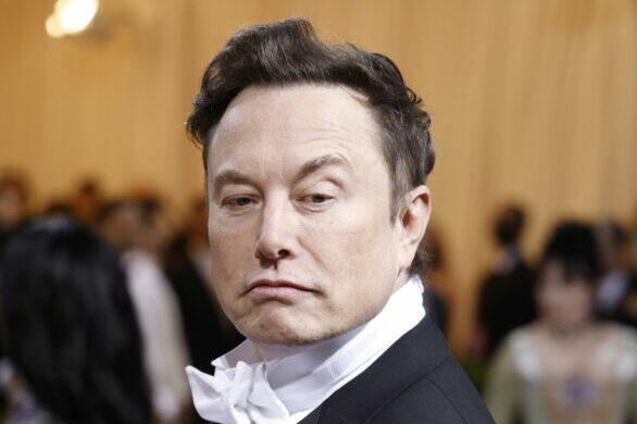 epa09923453 Elon Musk on the red carpet for the 2022 Met Gala, the annual benefit for the Metropolitan Museum of Art's Costume Institute, in New York, New York, USA, 02 May 2022. The event coincides with the Met Costume Institute's 'In America: An Anthology of Fashion' which opens 05 May 2022 concludes 05 September 2022.  EPA/JUSTIN LANE