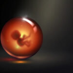 fecondazione embrione