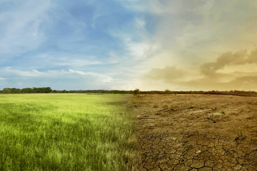 cambiamenti climatici