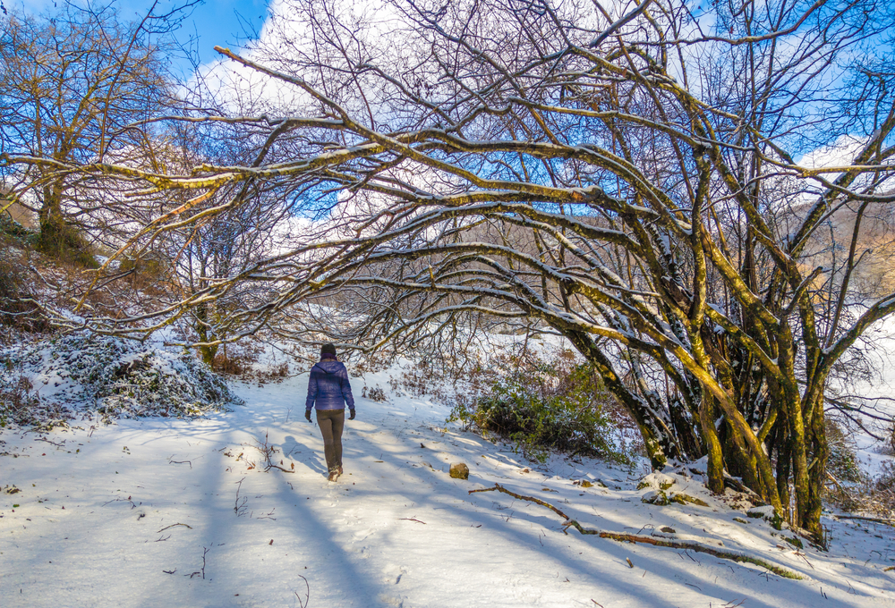 campi innevati