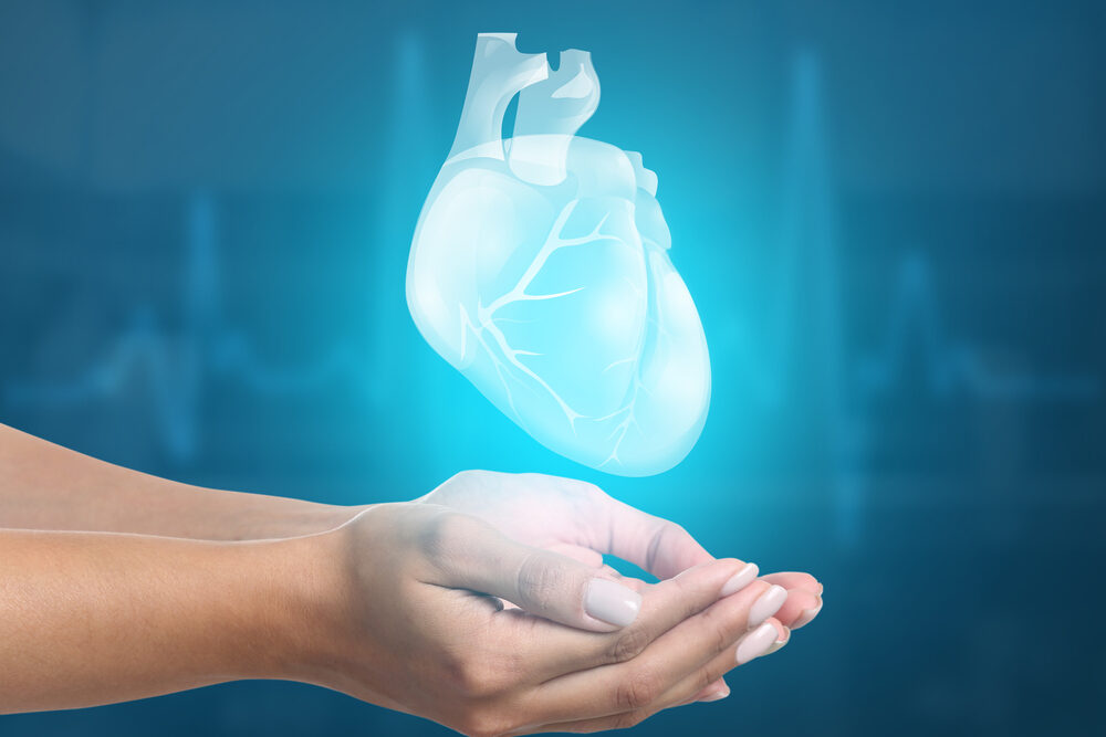 Female,Hands,With,Heart,On,Blue,Background.,Cardiology,Concept.