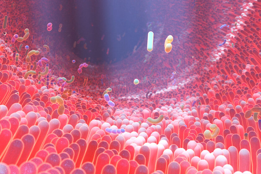 microbiota