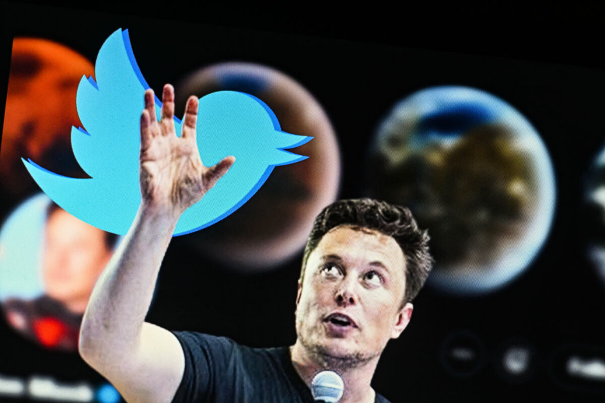 Eleon Musk, Ceo Twitter