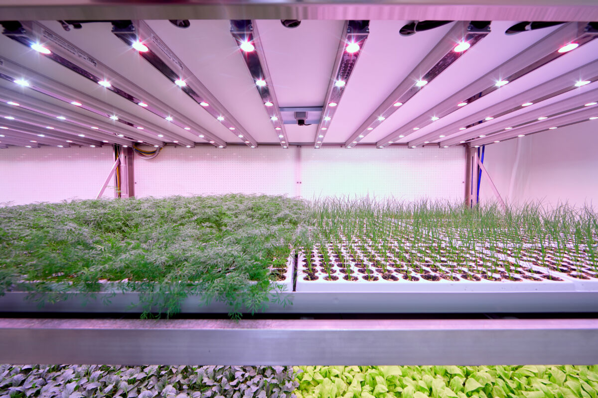 Vertical Farming