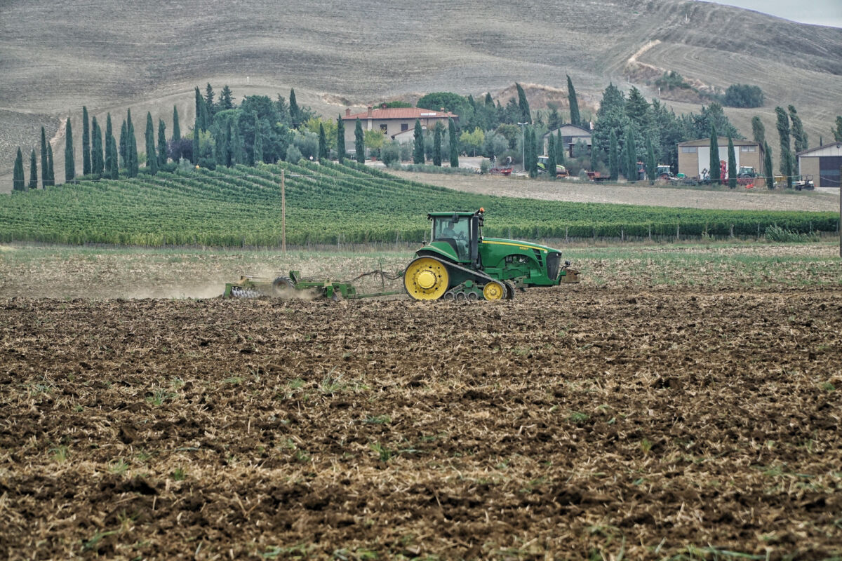 novel food agroalimentare