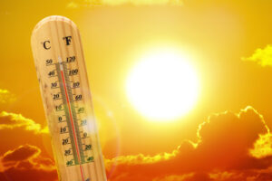 caldo