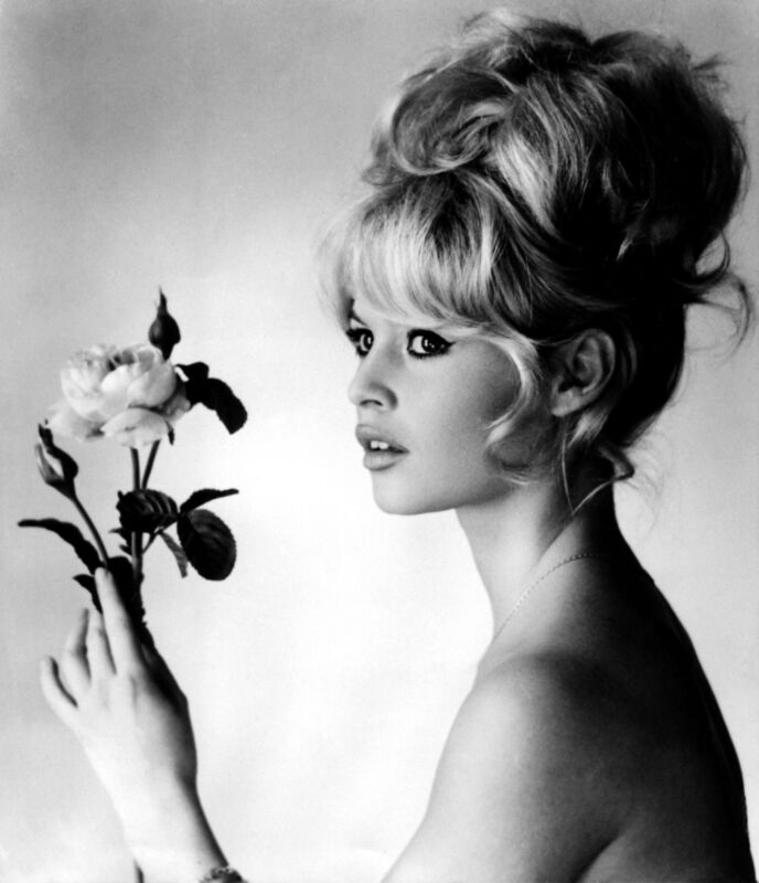 Brigitte Bardot - Figure 1