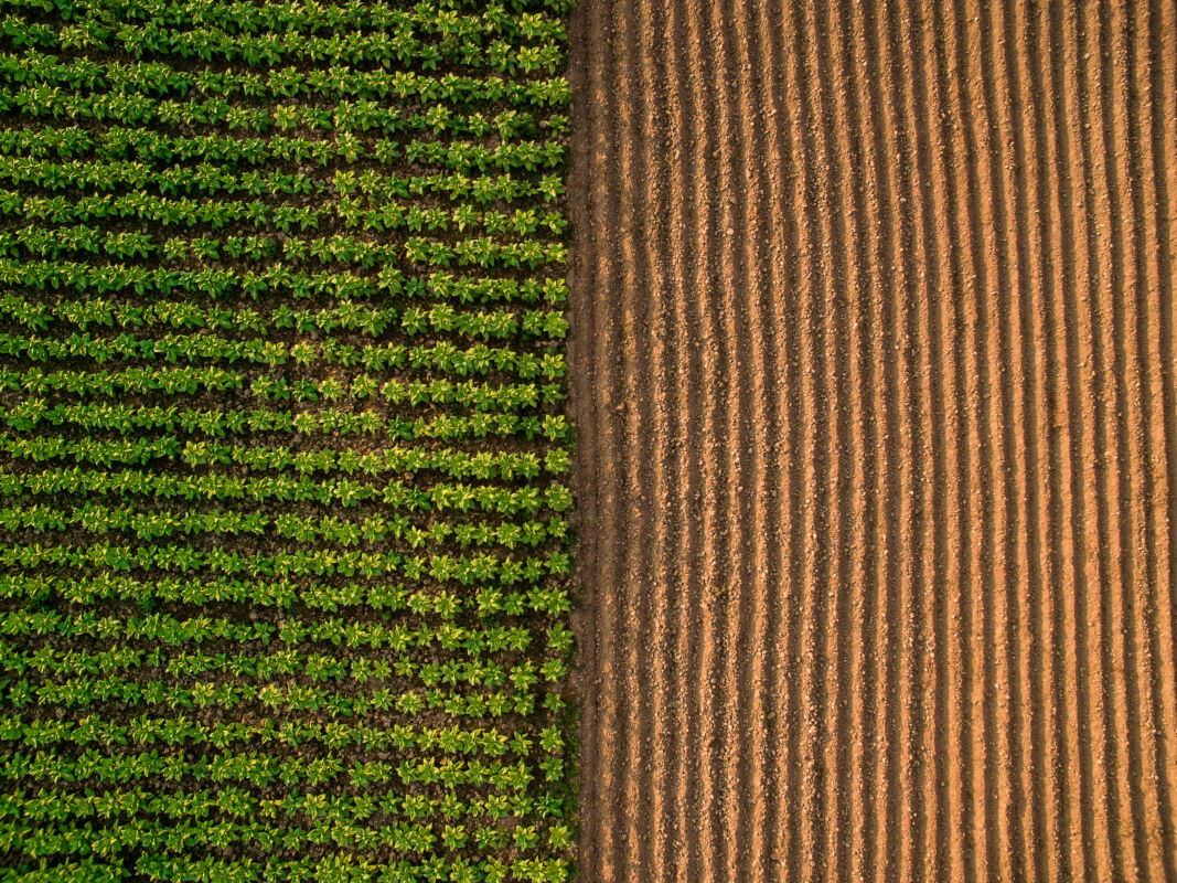 Aerial,View,;,Rows,Of,Soil,Before,Planting.furrows,Row,Pattern