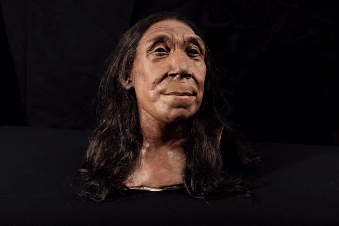 Secrets of the Neanderthals photographed at the Henry Wellcome Buildand at the University of Cambridge on the 26th April 2024
