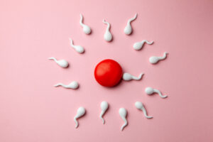 fertilità sperma