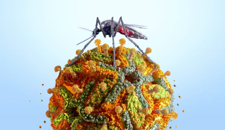 malattie tropicali