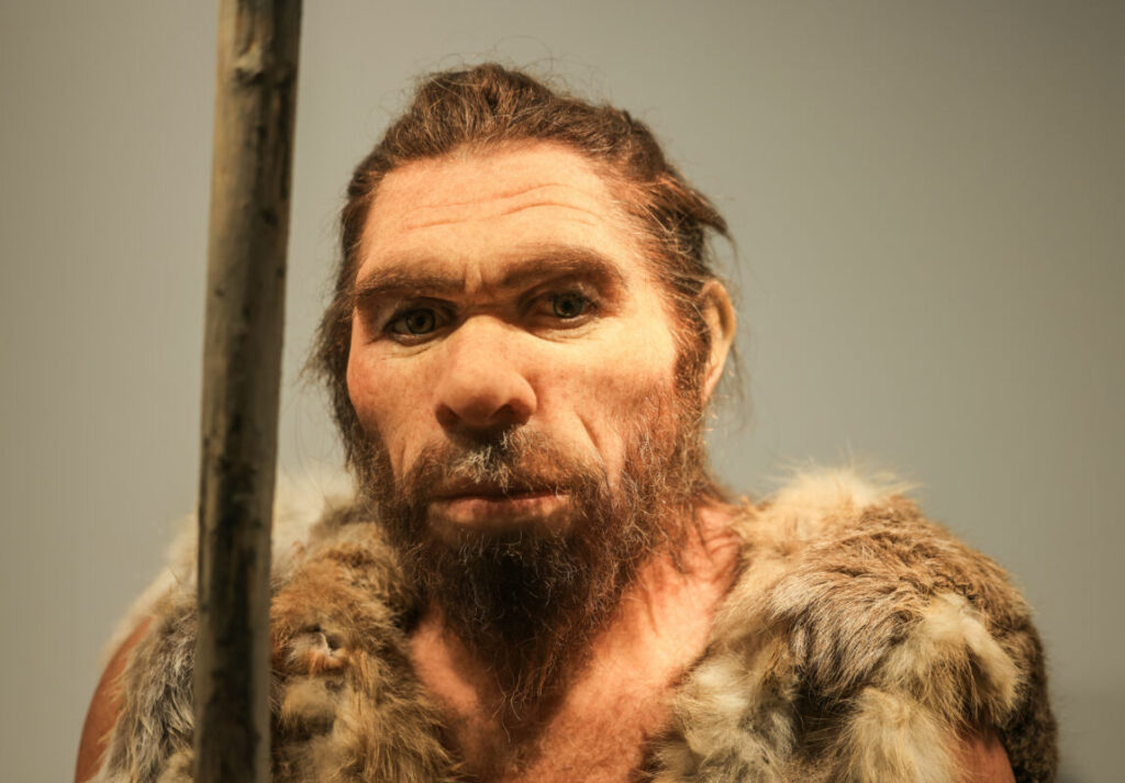 Neanderthal