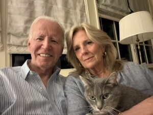 Joe Biden tumore X