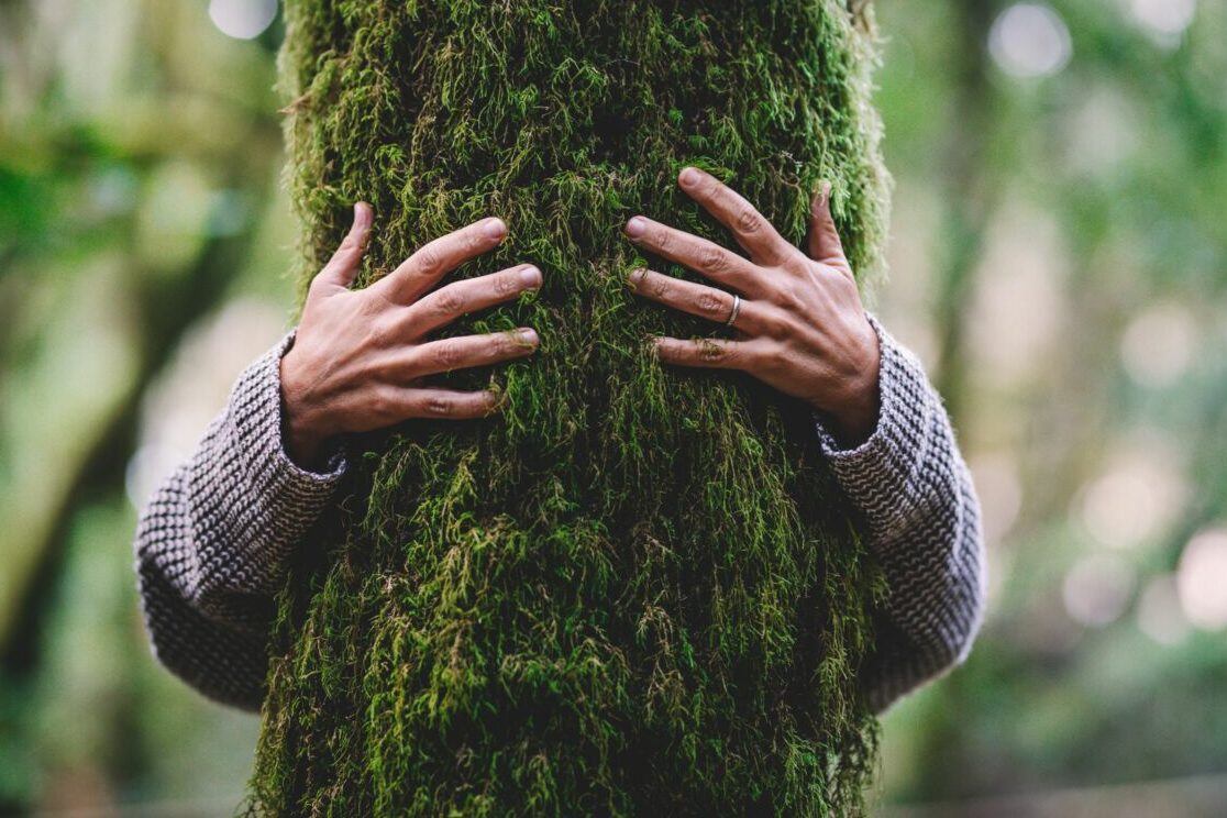 tree hugging