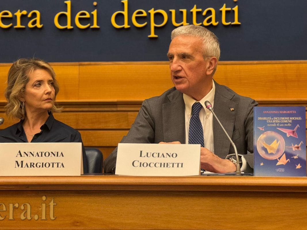 disabilità Luciano Ciocchetti