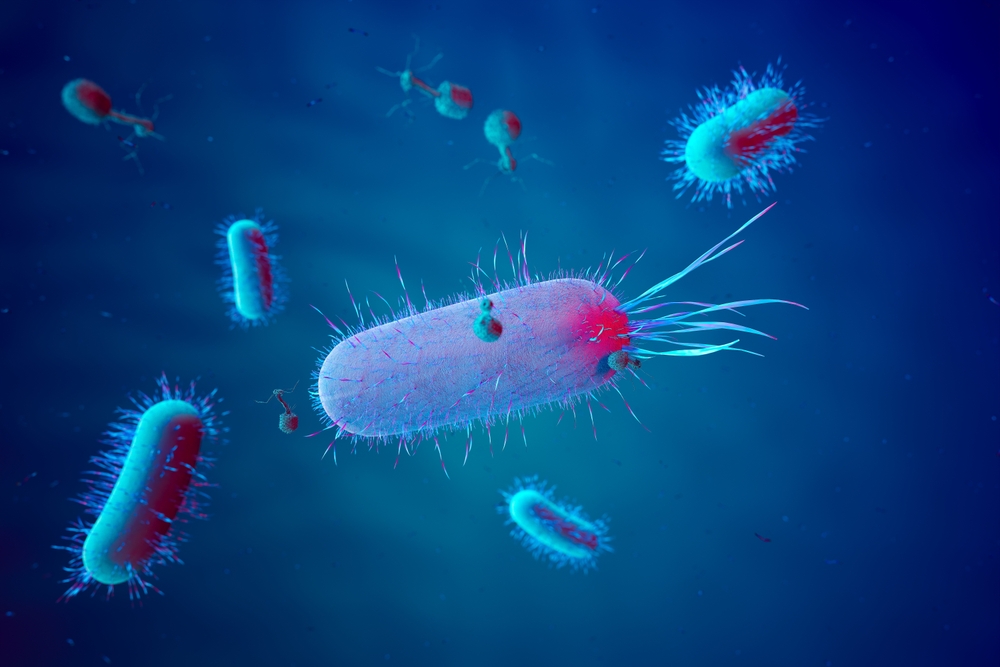 virus batteriofagi