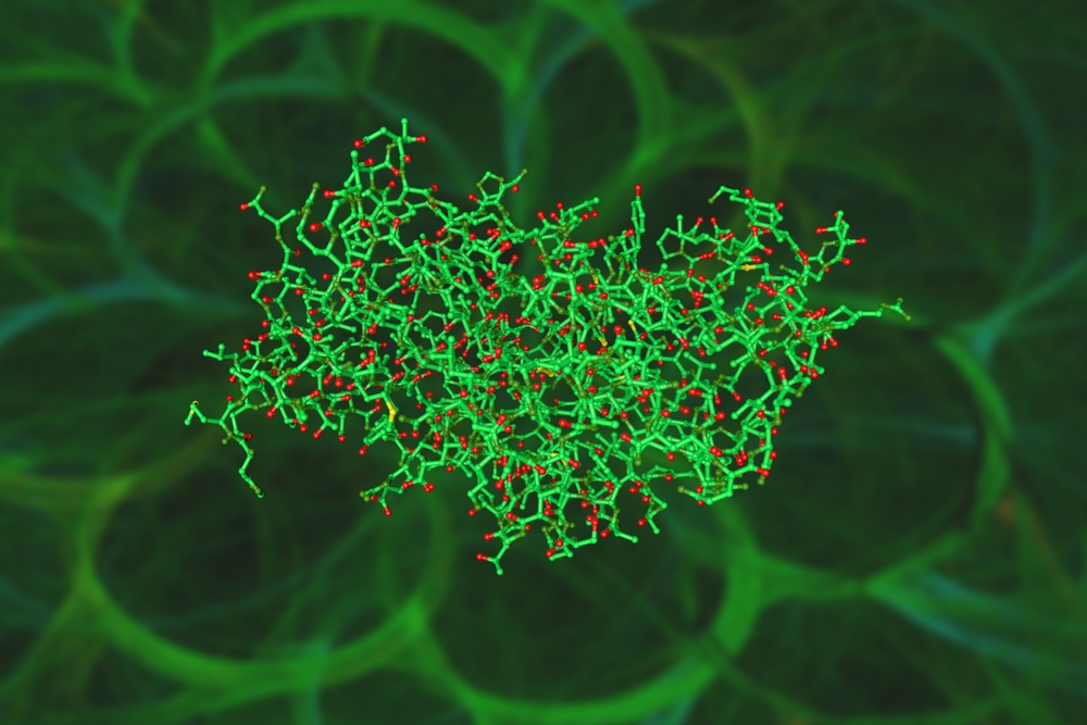 klebsiella