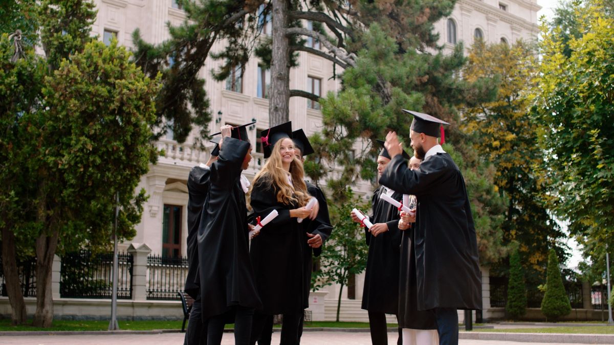 università