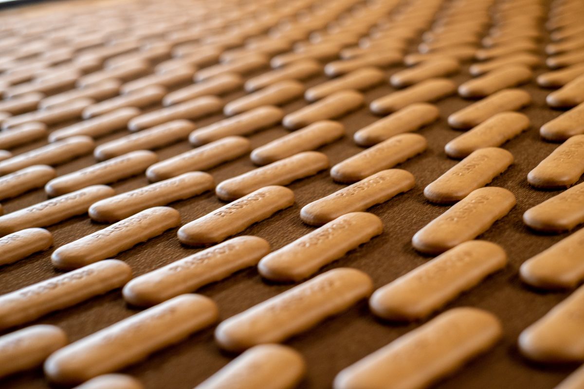 plasmon
