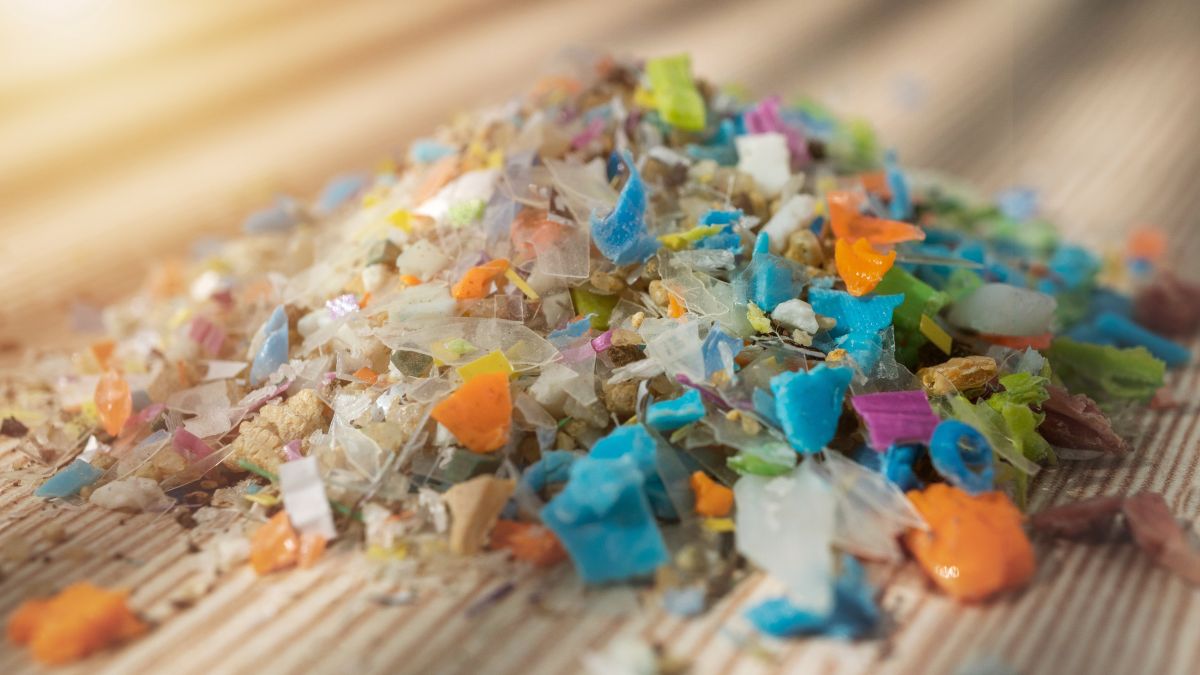 microplastiche, fertilità