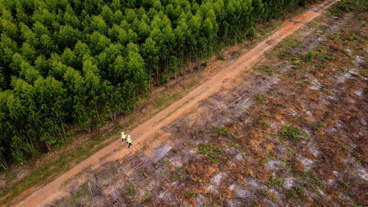 Biodiversità investimento