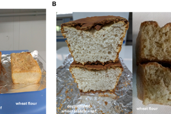 pane celiachia