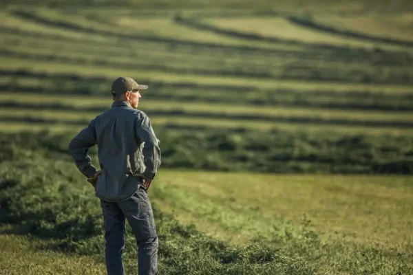 Usa: le aziende agricole continuano a fallire / GETTY IMAGES