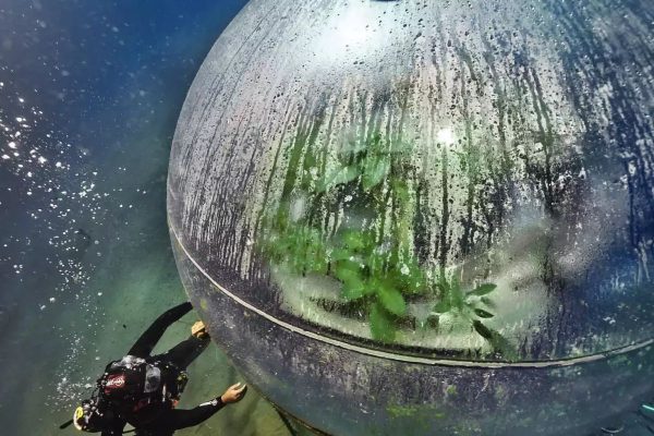 Nemo's Garden, il primo sistema di agricoltura subacquea al mondo.