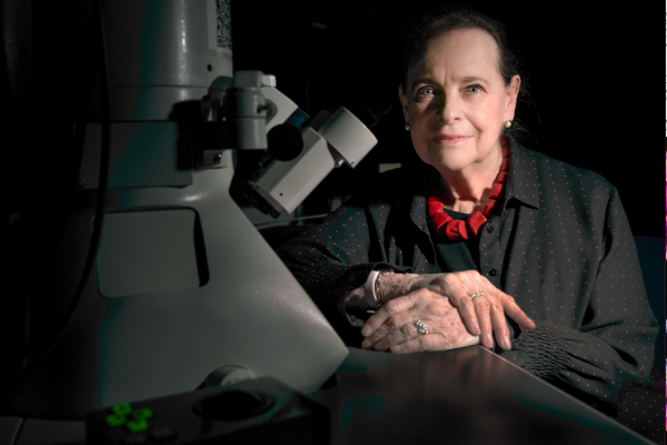 lucy shapiro