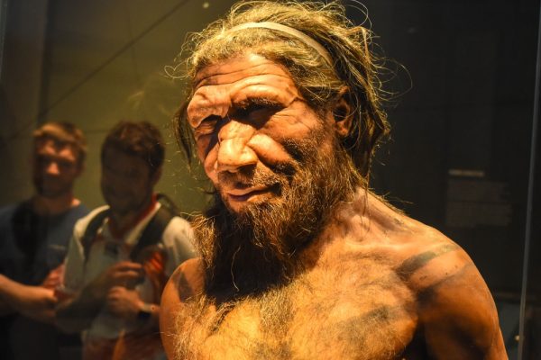 Neanderthal