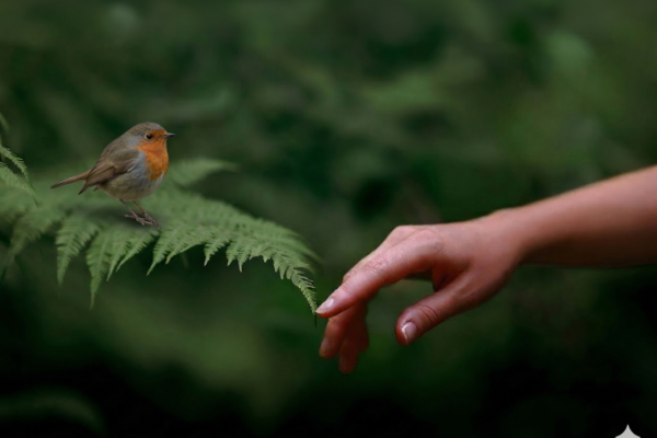 Biodiversità