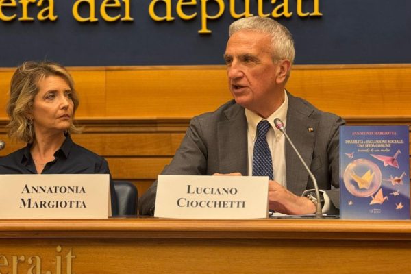 disabilità Luciano Ciocchetti