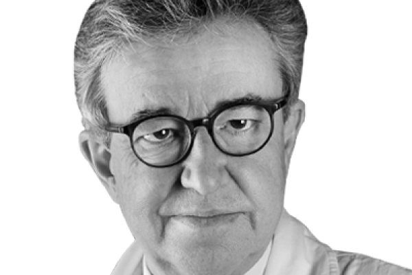 andrea lenzi
