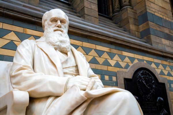 charles darwin darwinismo sociale eugenetica