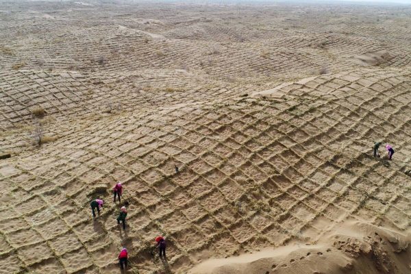 desertificazione clima ambiente suolo enea