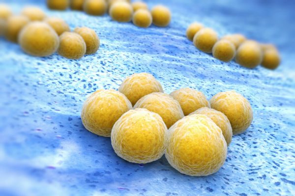 Staphylococcus,Aureus,(mrsa)