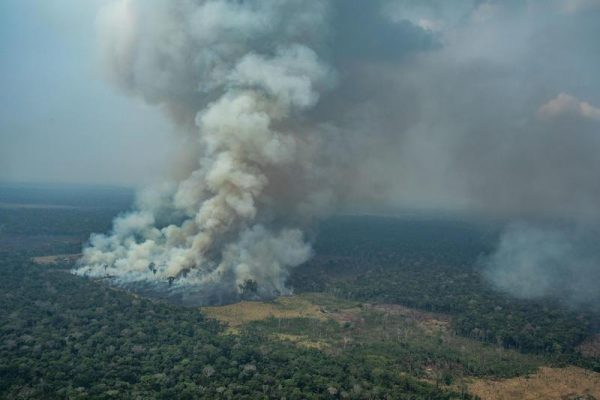 amazzonia
