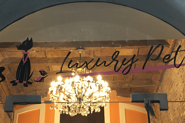 luxurypet3