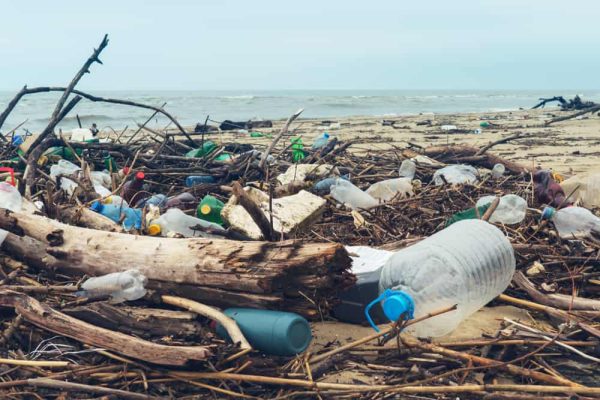 sostenibilità plastica inquinamento