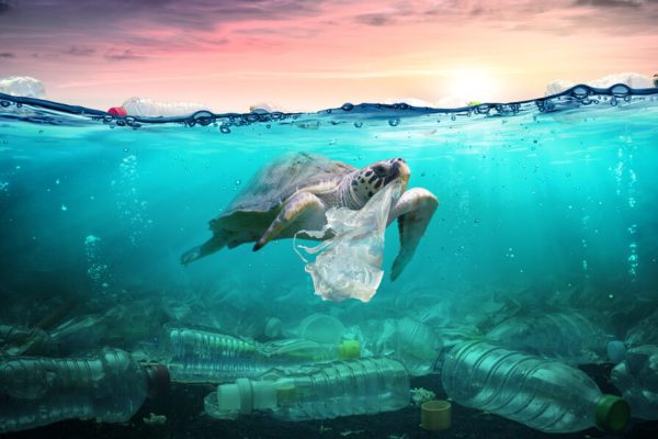 Plastic,Pollution,In,Ocean,-,Turtle,Eat,Plastic,Bag,-