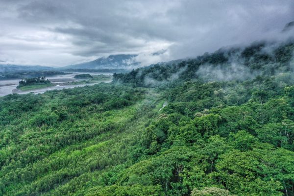 deforestazione Amazzonia