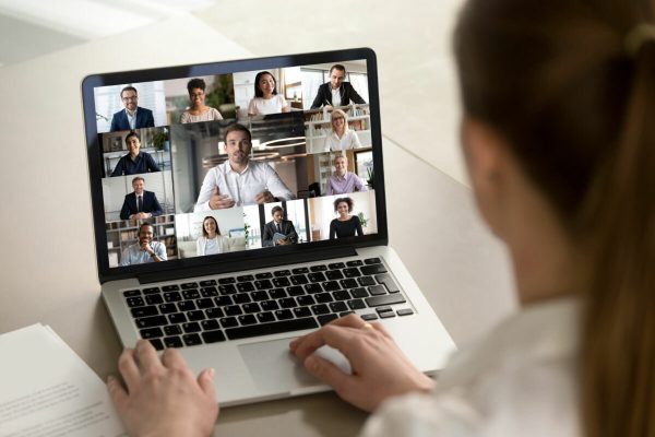 Back,View,Of,Female,Employee,Engaged,In,Web,Team,Meeting