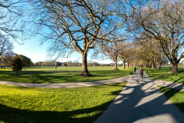 View,Of,Hagley,Park,In,Christchurch