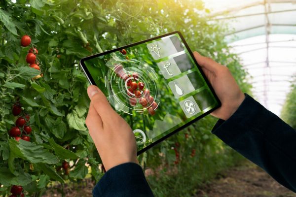 A,Farmer,Is,Holding,A,Tablet,On,The,Background,Of